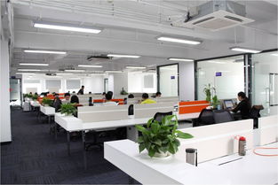 赛意信息科技图册 引领未来的技术开发新篇章