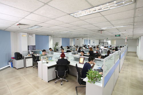 天津河东区 构建创新生态 为高质量发展夯基垒台——以信息科技技术开发为驱动