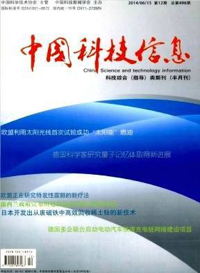 中国科技信息 信息科技的技术开发与创新路径